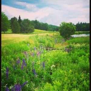 Meet your Posher, Elena